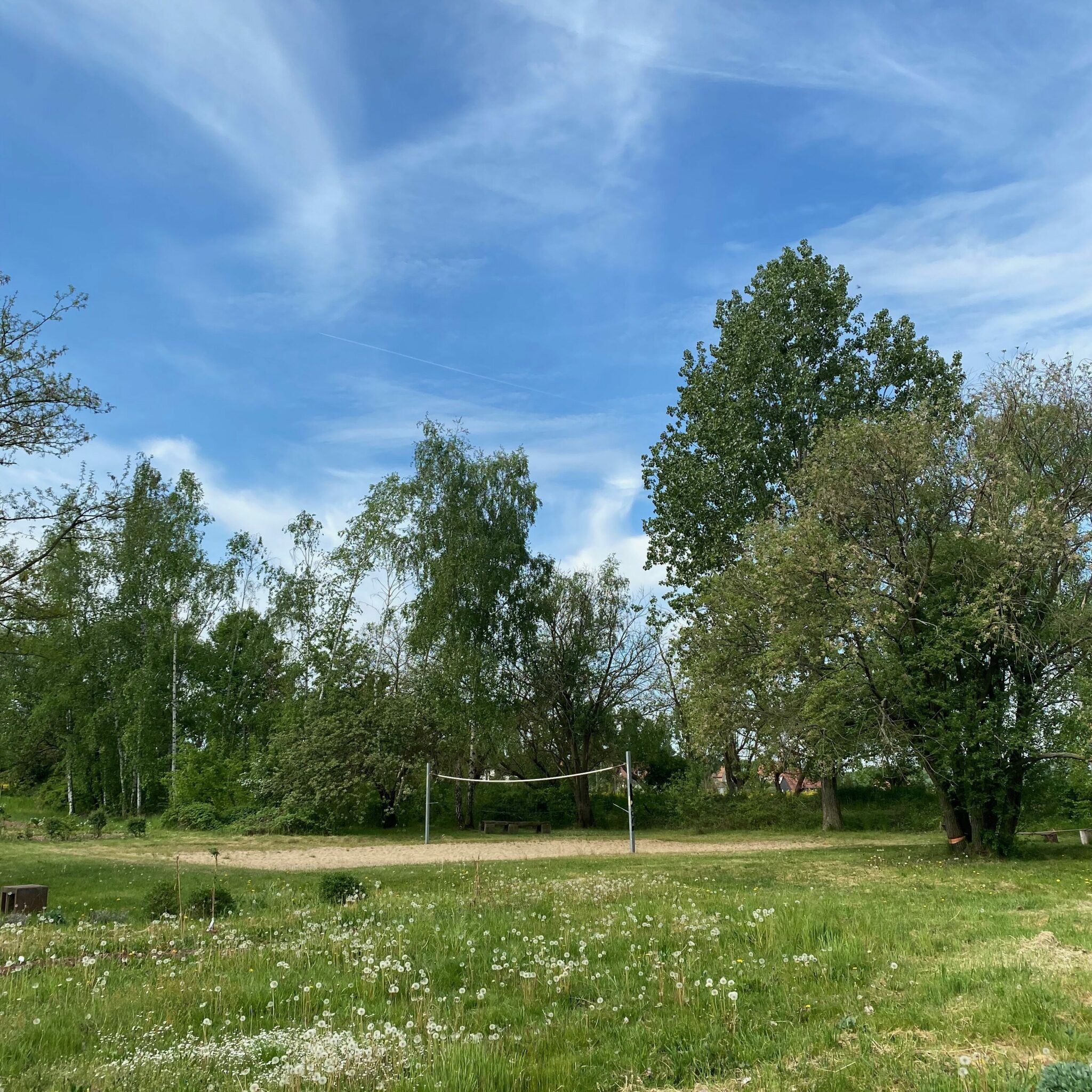 45+ Garten Meißen, Unsere anlage besteht seit 1962, viele gärten
