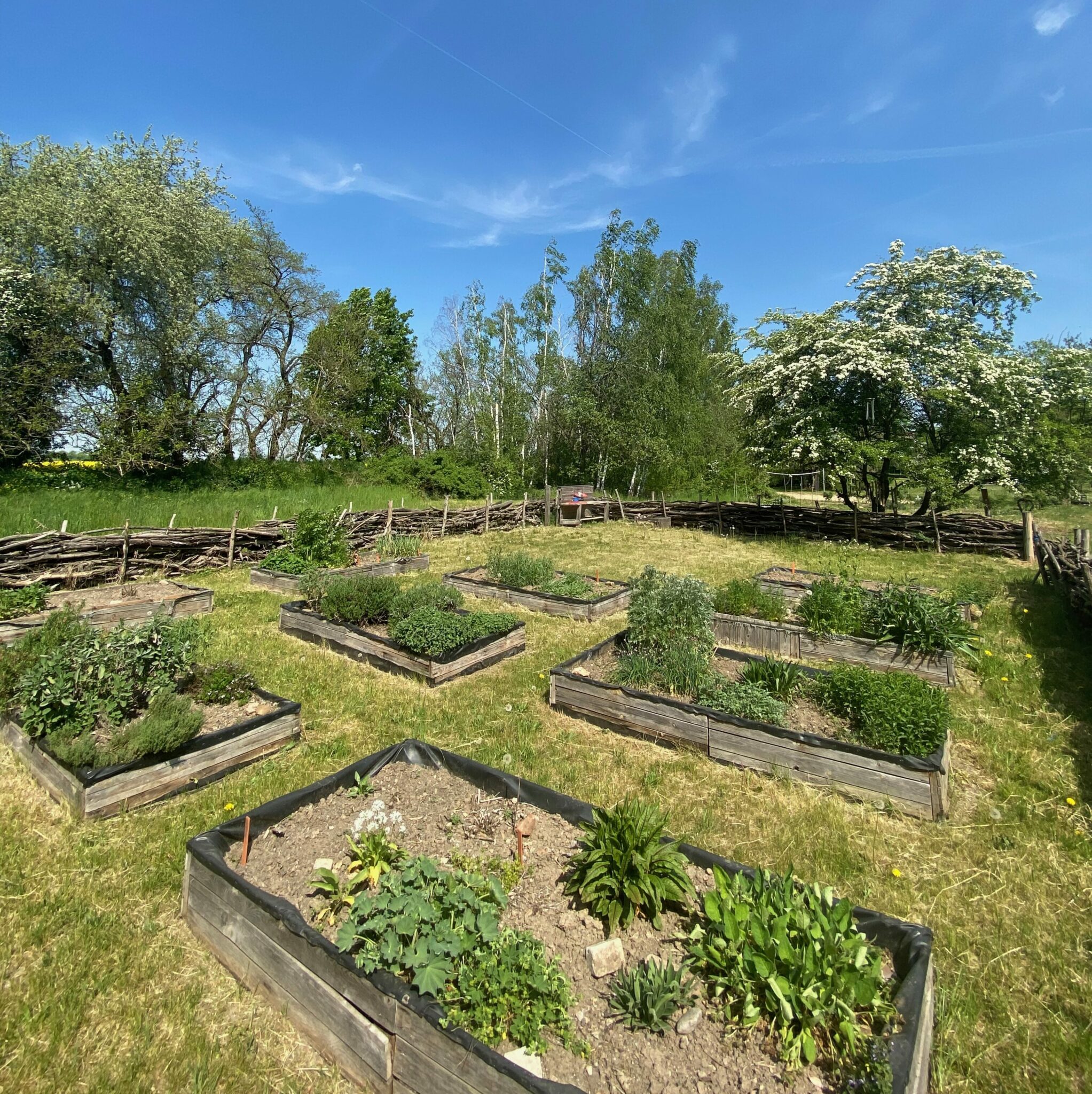 Internationaler Garten Buntes Meißen e.V.